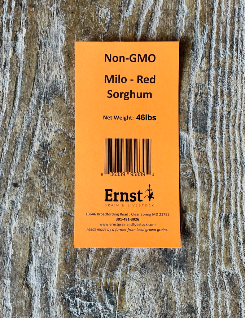 Milo, Red Sorghum 50lbs 5th Listing Product Picture