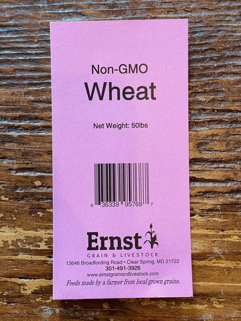 Non-GMO Wheat 50lbs 5th Listing Product Picture