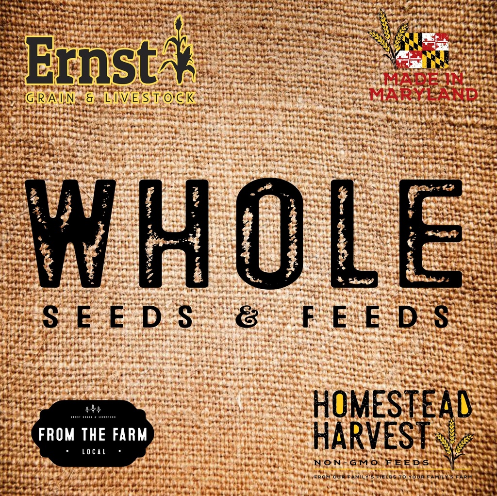 Non-GMO Wheat 50lbs 9th Listing Product Picture