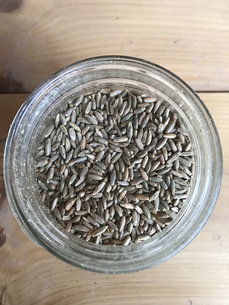 Non-GMO Rye 25lbs 3rd Listing Product Picture
