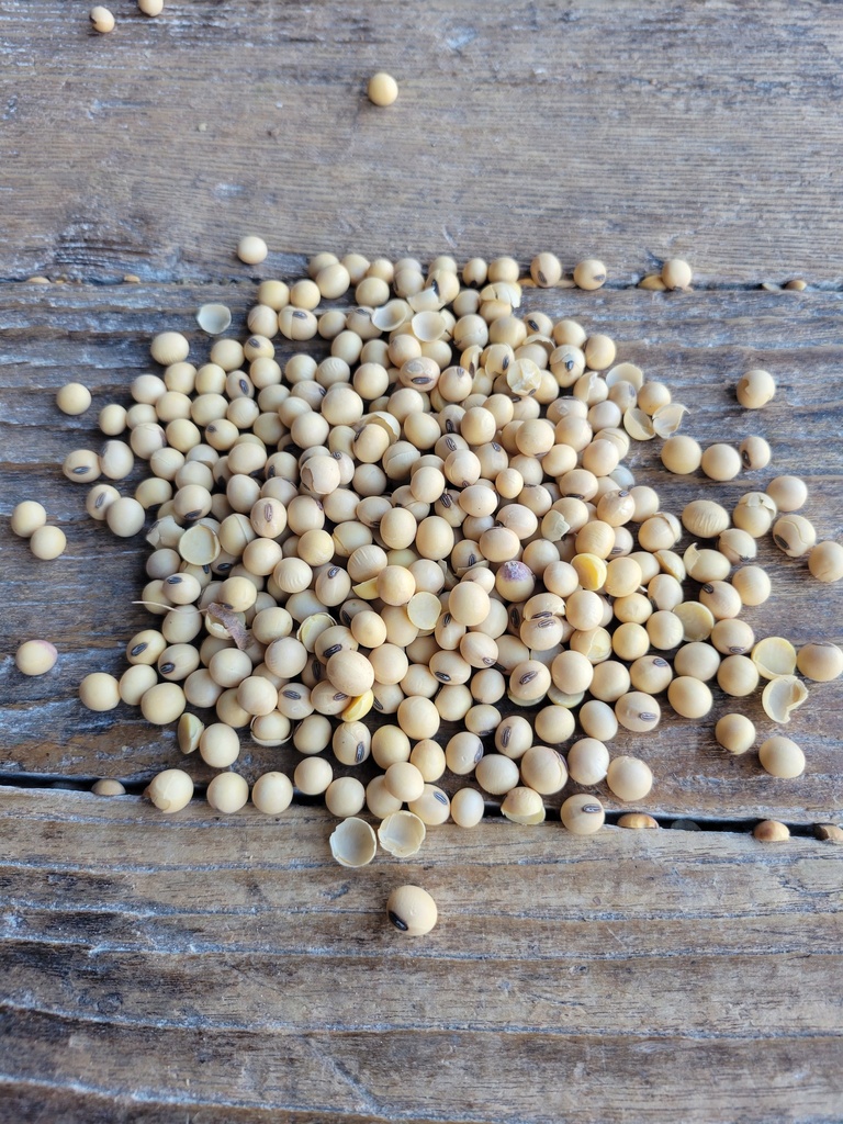 Non-GMO Soybeans 50lbs 3rd Listing Product Picture