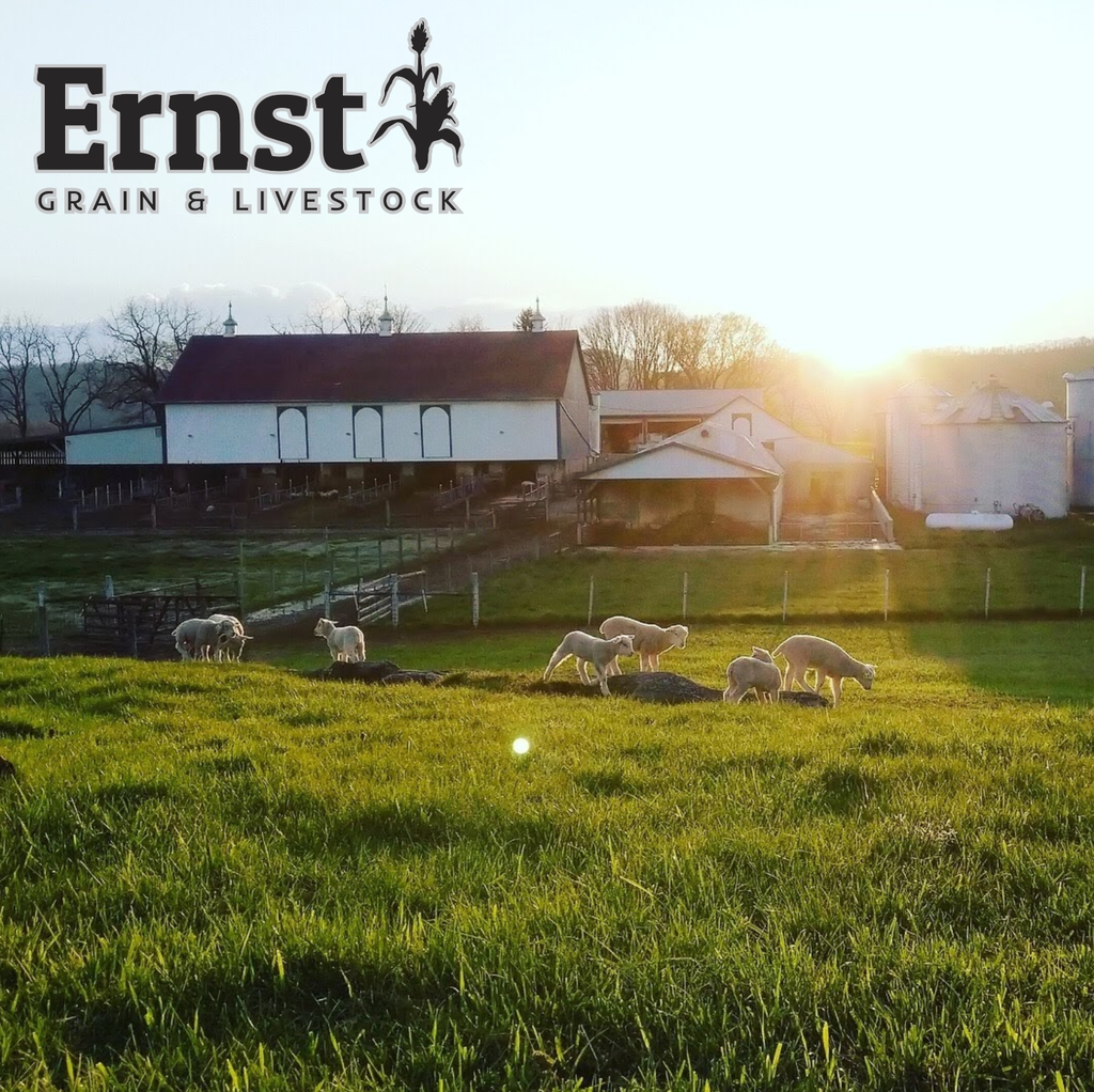 Ernst Grain Deer Feed 50lbs Farm Picture