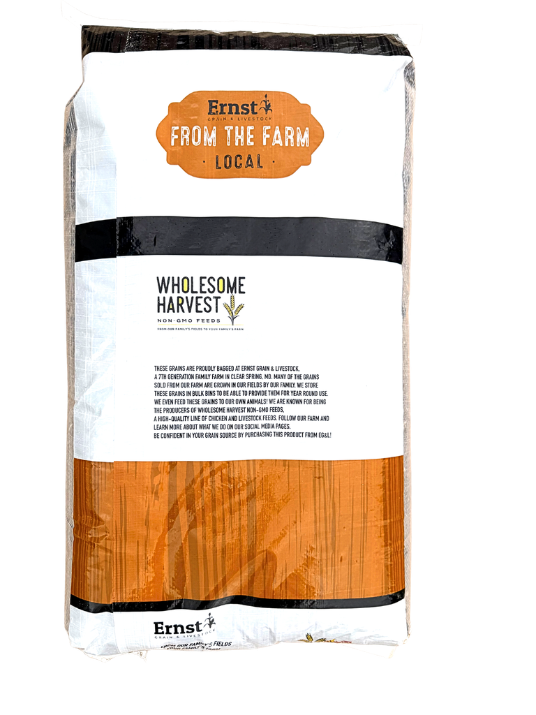 Non-GMO Black Oil Sunflowers 25lbs 7th Listing Product Picture