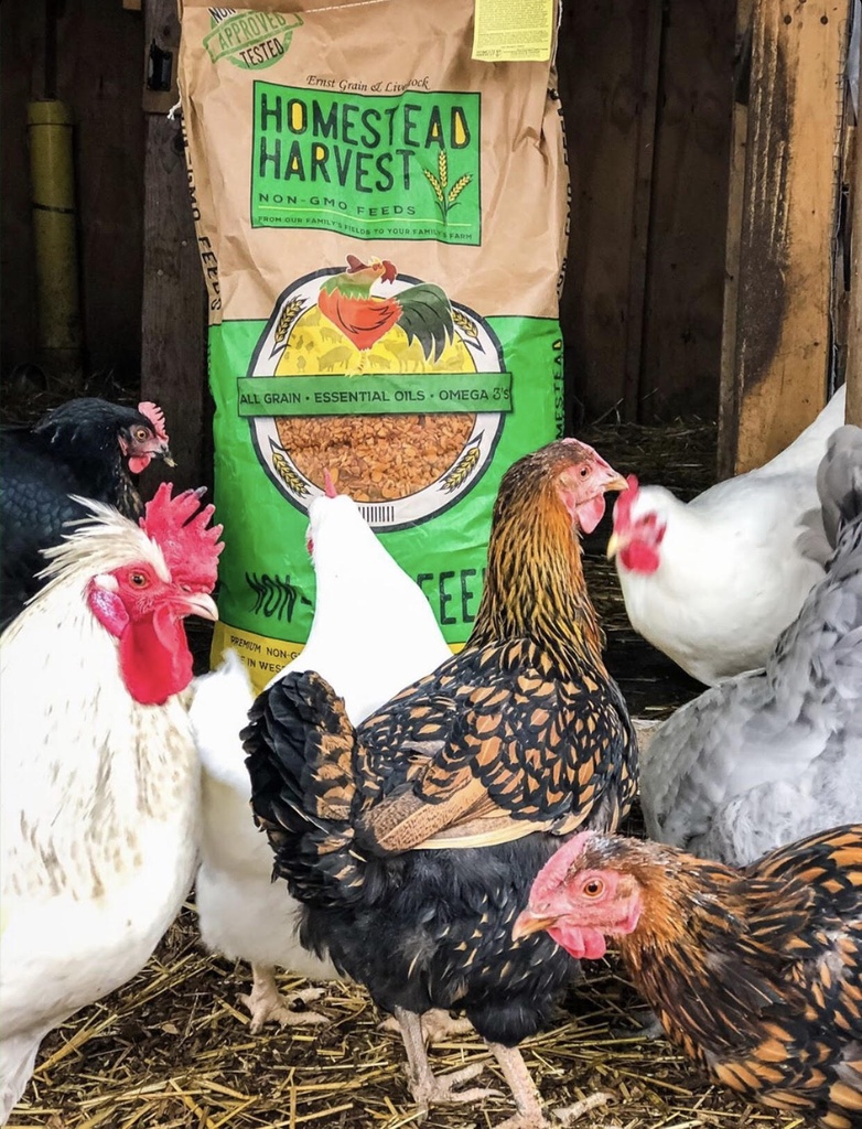 Homestead Harvest Soy Free-Corn Free Whole Grain Layer Blend 40lbs Egg chickens