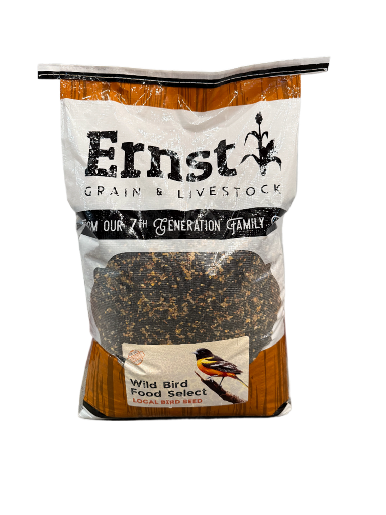 6th Product Picture