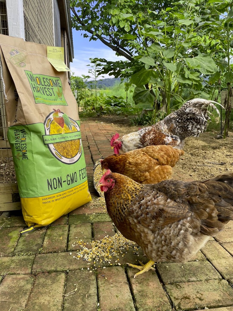 Wholesome Harvest Soy Free-Corn Free Whole Grain Layer Blend 40lbs