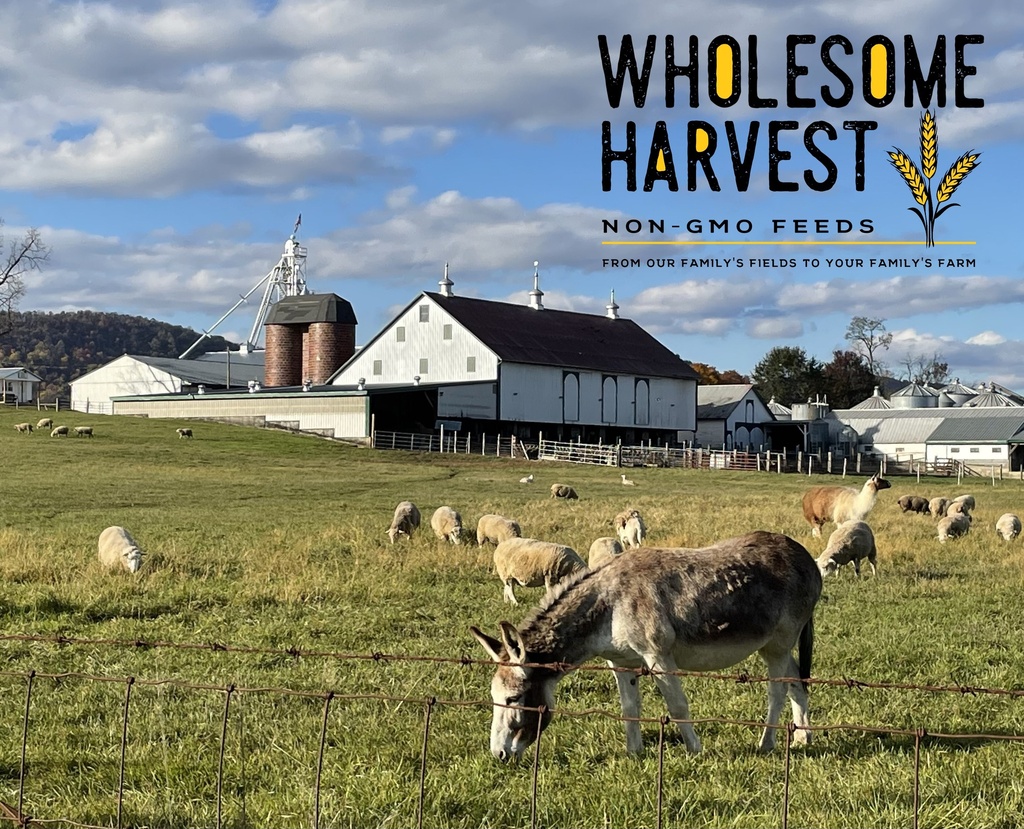 Wholesome Harvest Sheep Blend 40lbs