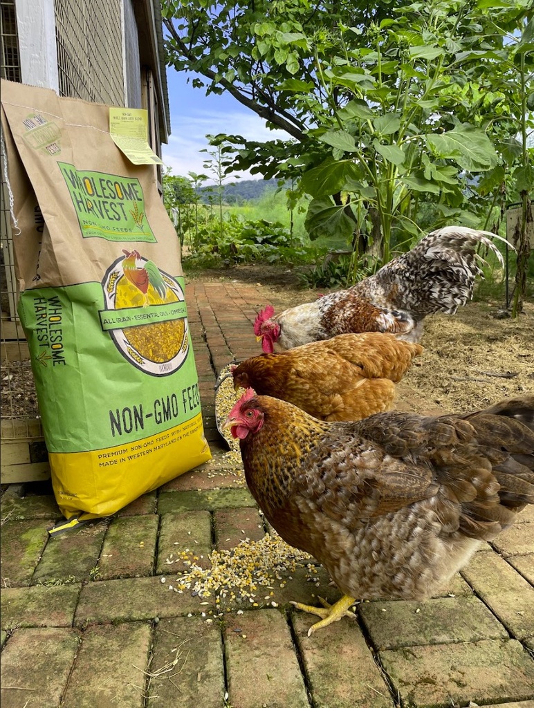 Wholesome Harvest Whole Grain Layer Blend 25lbs