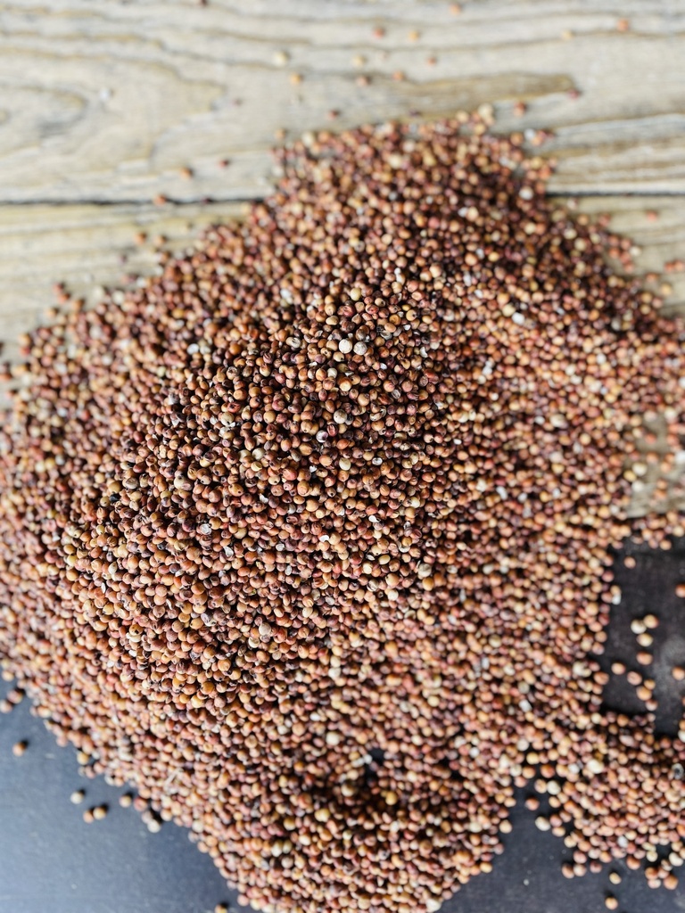 Milo, Red Sorghum 25lbs 3rd Listing Product Picture