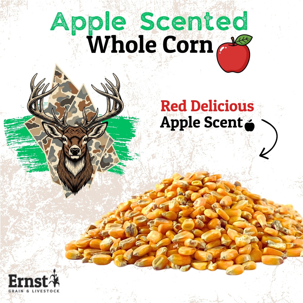 Apple Scented Corn 50lb 1st Listing Product Picture