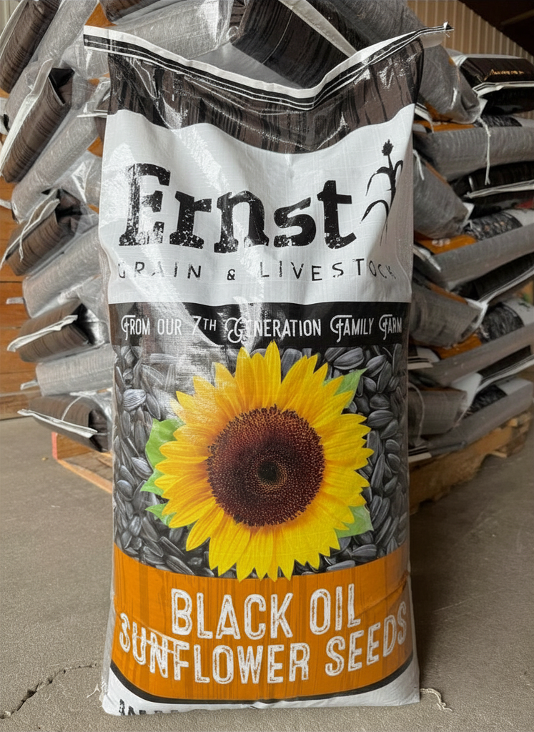 Non-GMO Black Oil Sunflowers