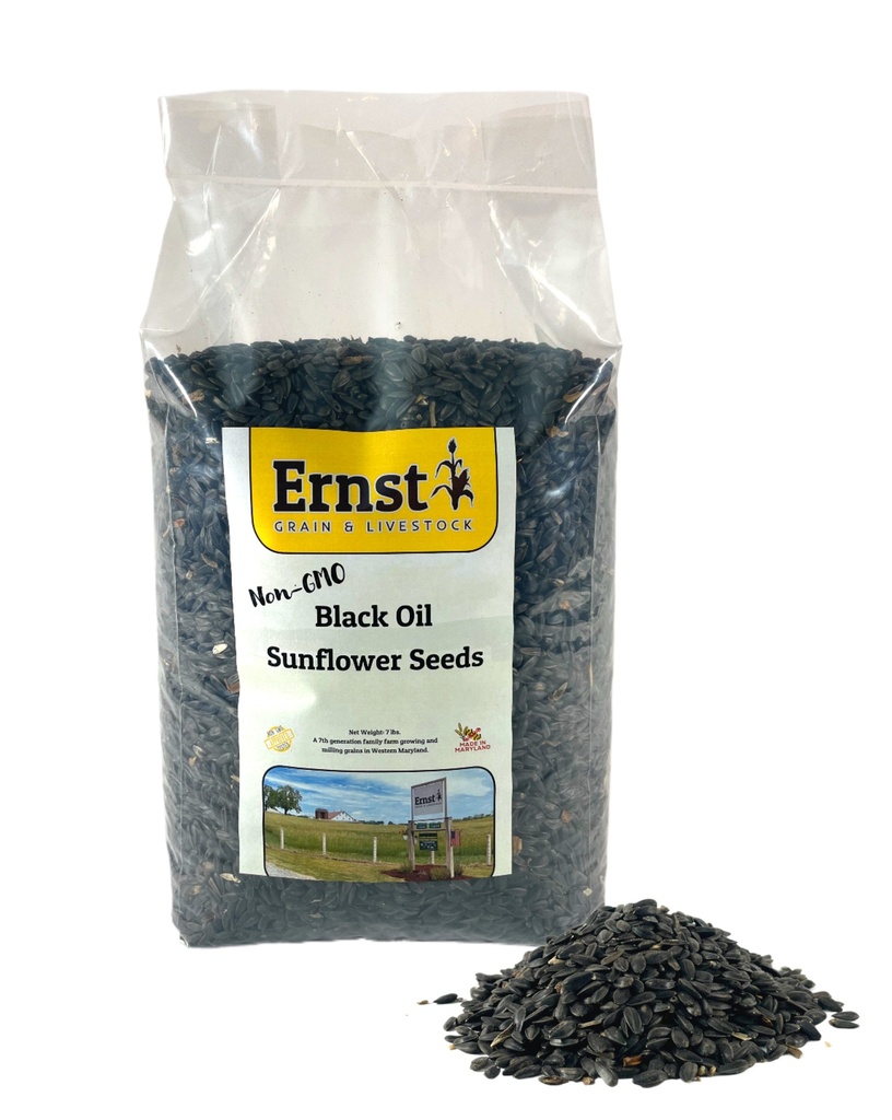 Non-GMO Black Oil Sunflowers