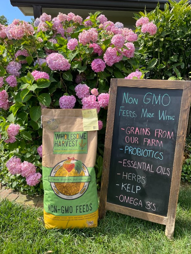 Wholesome Harvest High Protein Layer Blend