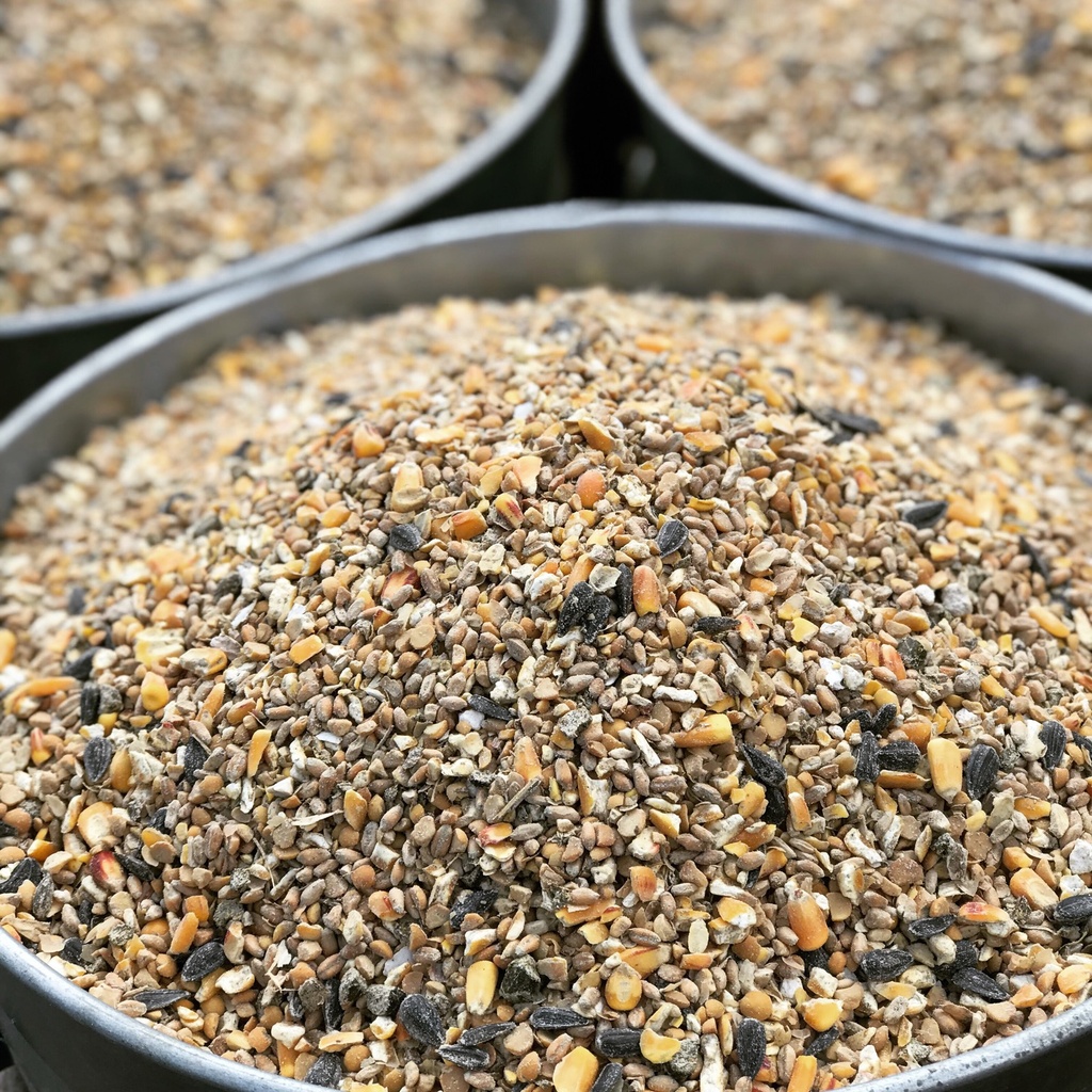 Wholesome Harvest High Protein Layer Blend