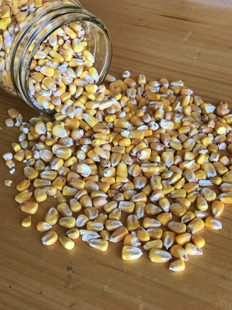 Apple Scented Corn 50lb