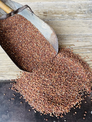 Milo, Red Sorghum 46lbs