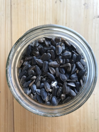 Non-GMO Black Oil Sunflowers 50lbs