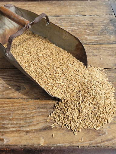 Non-GMO Oats 50lbs