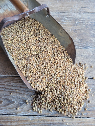 Non-GMO Roasted Soybeans 50lbs
