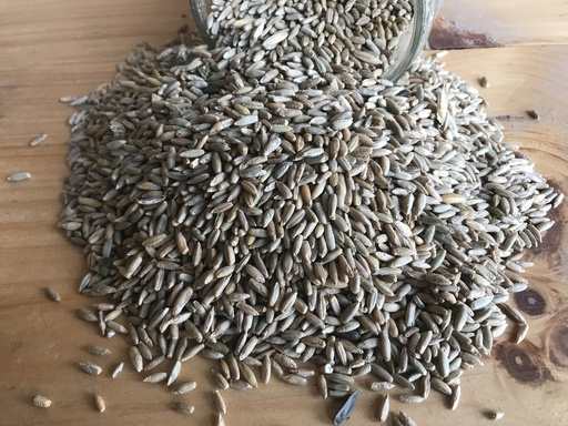 Non-GMO Rye 46lbs