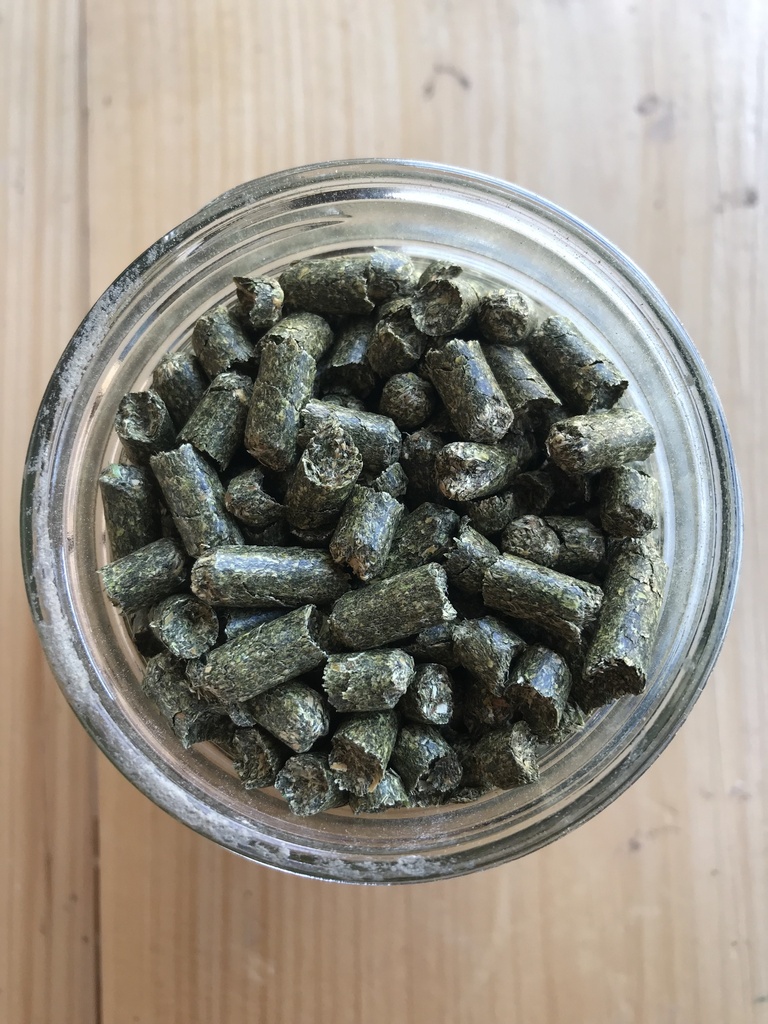 Stampede Alfalfa Pellets, Non-GMO 40 lb