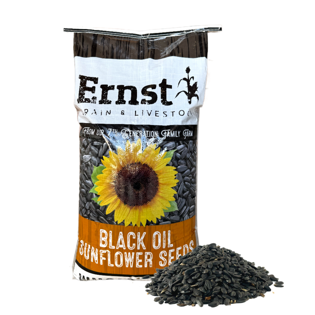 Non-GMO Black Oil Sunflowers