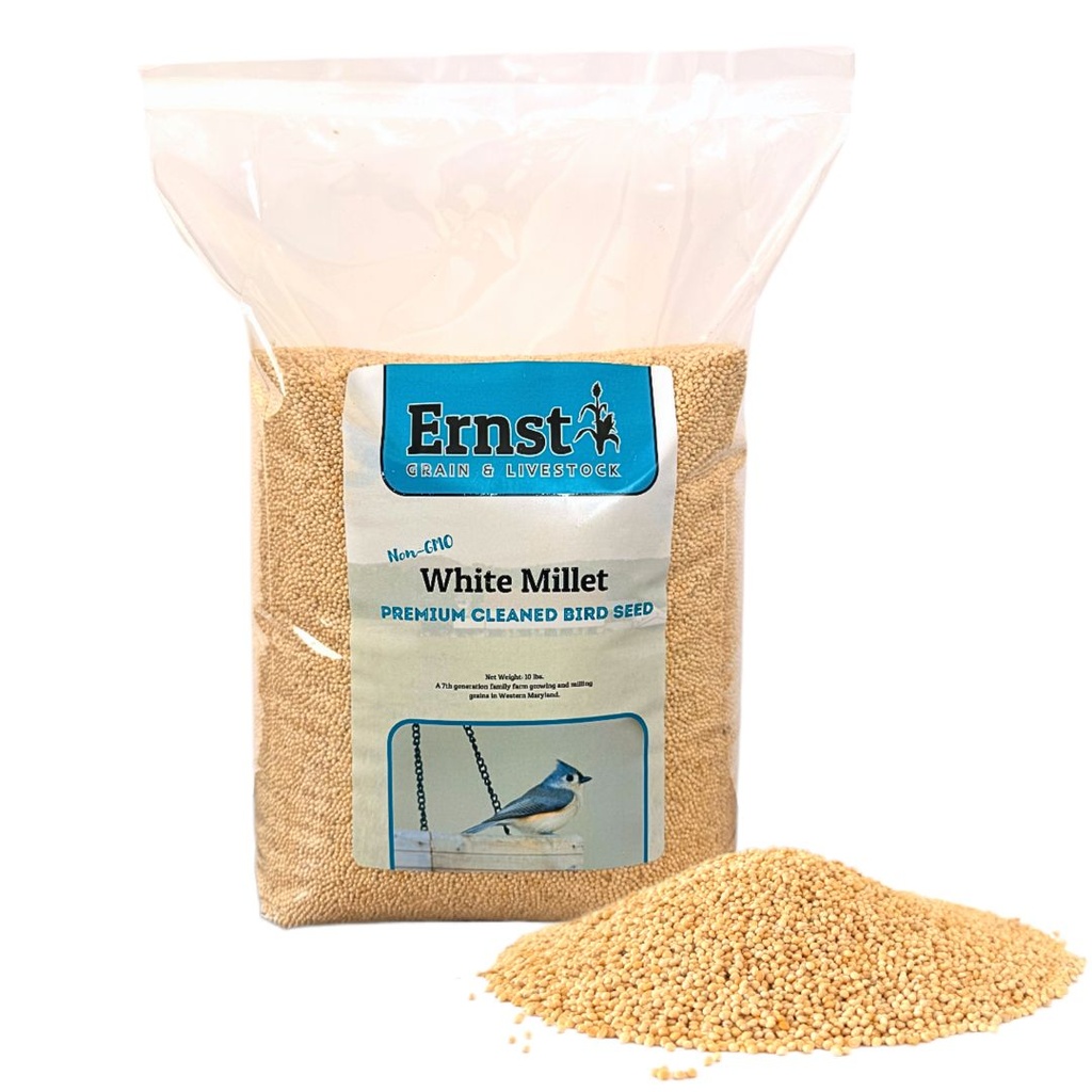 Non-GMO White Millet