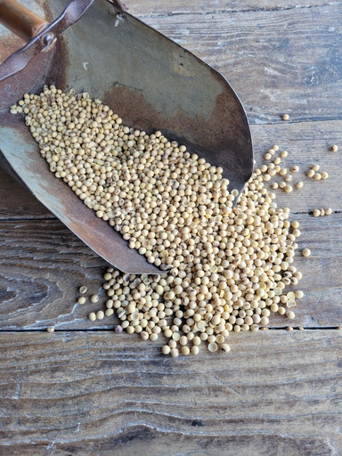 Non-GMO Soybeans 50lbs